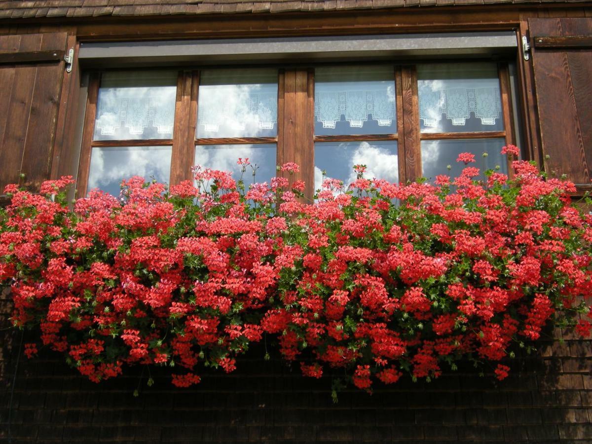Appartements Karin Mitten Im Gruenen Schoppernau Exterior foto